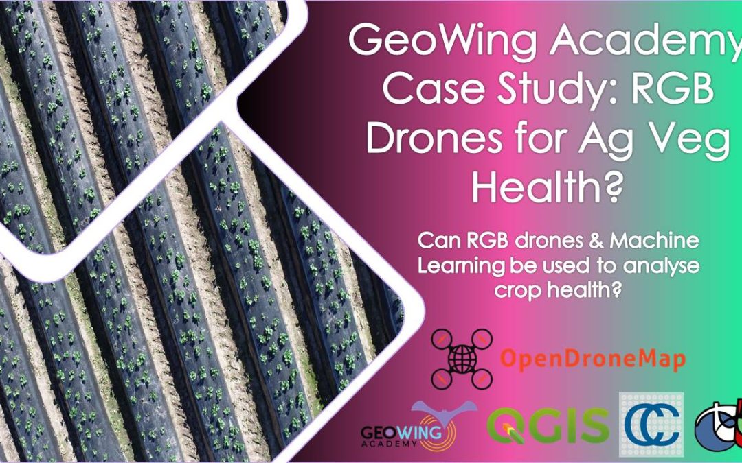 Can RGB Drones & Machine Learning Be Used for Crop Health Analysis?